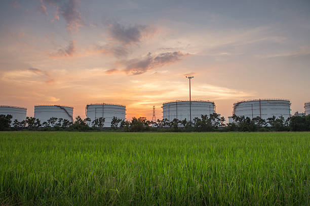 Oil tank on beautiful sunset with rice foreground
